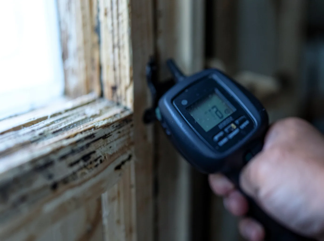 Moisture Inspection And Documentation in Angola, IN